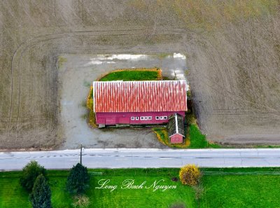 Red Barn in Skagit Valley, Mount Vernon, Washington 273 