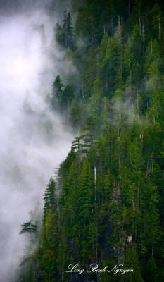 Low cloud on Philadephia Mountain,  Mount Index, Cascade Mountains, Washington 069 