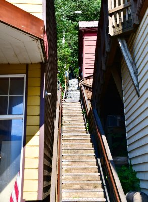 Wooden Stair in Juneau, Alaska 756  