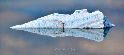 floating Iceberg at Toe of Knik Glacier, Alaska 1155  