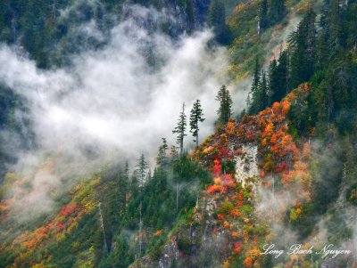 Colorful Foliages on west slope of Mount Persis, Cascade Mountains, Washington 727  