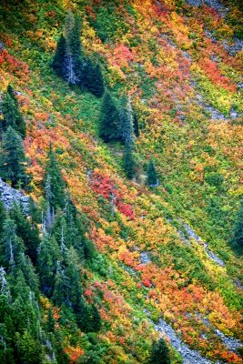 Colorful Fall Foliage on South Slope of Mount Index, Washington 132  