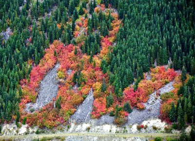 Fall Foliage on South Slope of Mount Index, Washington 168 
