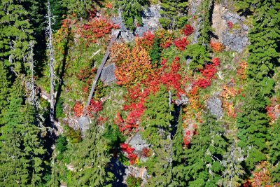 Bright Colors on Dog Mountain, Cascade Mountains, Washington 214 