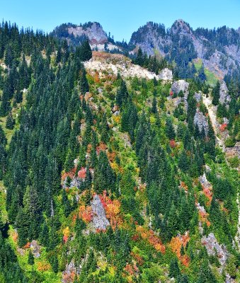 Bright Colors on Dog Mountain, Cascade Mountains, Washington 142  