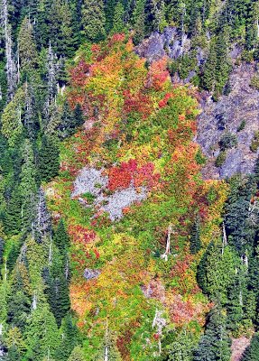 Dog Mountain with colorful colors, Cascade Mountains, Washington 143  