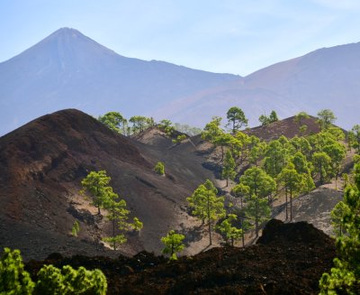 Montana de La Cruz de Tea, Montana de Chio, Mount Teide, Tenerife, Spain 207
