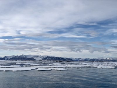 Sveabreen glacier