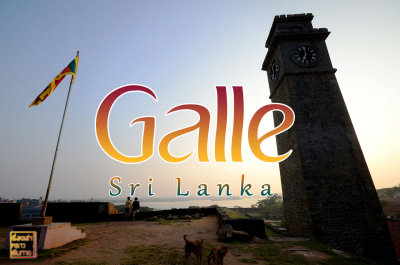 Galle