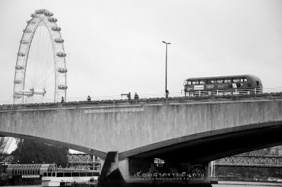 g12/96/699396/3/169090541.8eklwMI2.jpg