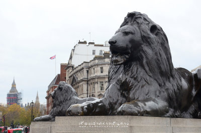 g12/96/699396/3/169090579.YgxWC3zV.jpg