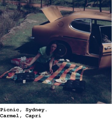 014 Picnic Carmel Capri.jpg