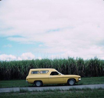 051 Sugar cane Panelvan.jpg