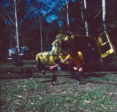 125 Euengella Des feeding Currawongs, PanelVan.jpg