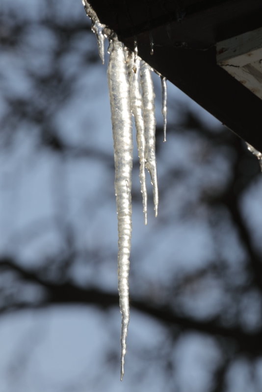 08 Sunlit Icicles