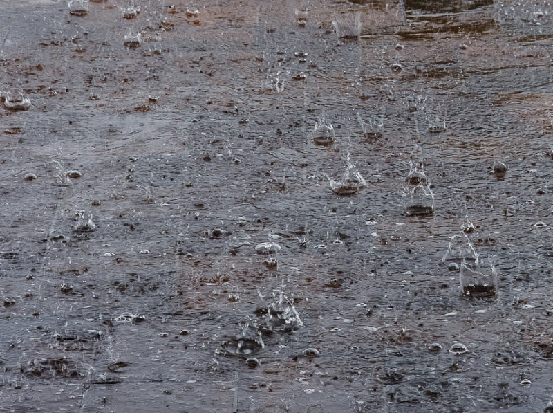 Monsoon Rain