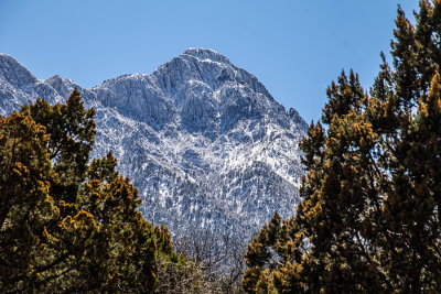 Mount Wrightson in the Spring