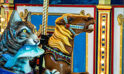 Riding a Carrousel