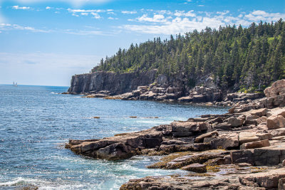 Summer in Acadia NP