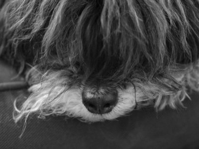 12 I got his nose.