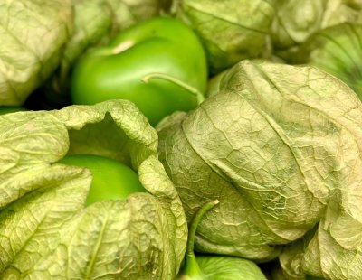 18 Interesting Vegetable 
