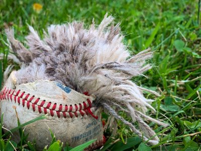 19 Foul Ball