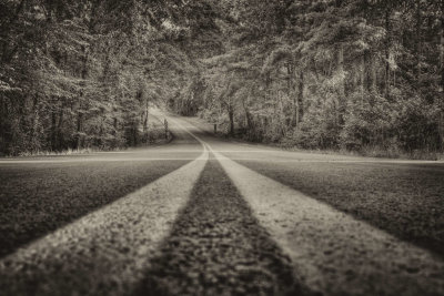 The Long and Winding Road