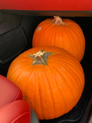 Before They Were Jack-o'-Lanters