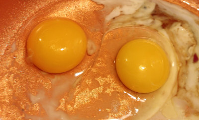 04 Protein