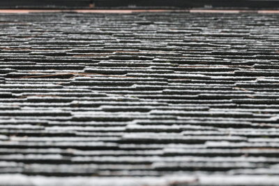 09 Dusted Shingles