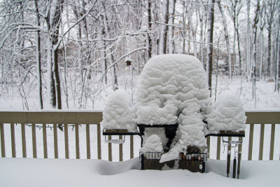 Snowy Christmas Morning