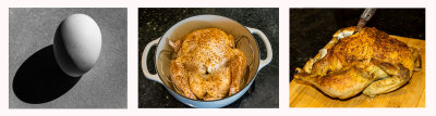 12 New - Old - Oldest Chicken