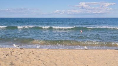 Salisbury Beach