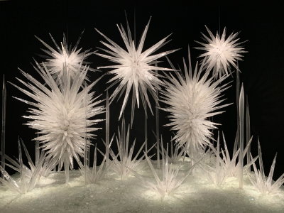 Winter Brilliance (by Dale Chihuly)