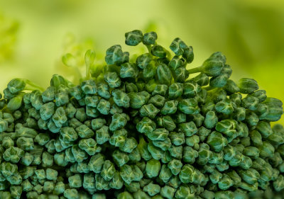 02 Broccoli - eaten with most anything