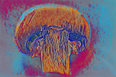 Psychedelic Mushroom for Dave