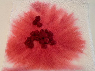 12 Raspberry Rorschach