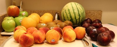 22 Cornucopia (Urban Root Cellar)