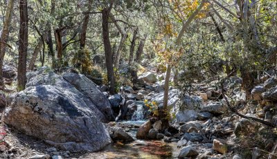 Stream with Fall Color