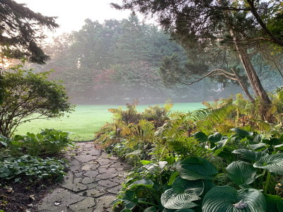 02 Foggy Fall Morning