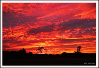 The Sky Behind My Farm