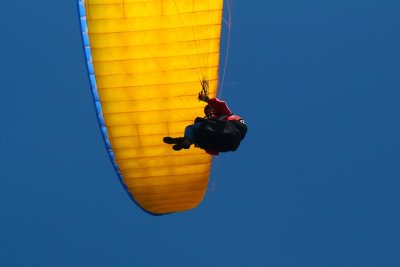 Summer Fun in Yellow and Blue