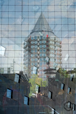 rotterdam-2019011.jpg
