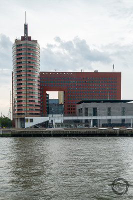 rotterdam-2019019.jpg