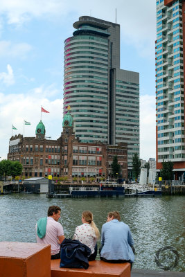 rotterdam-2019024.jpg