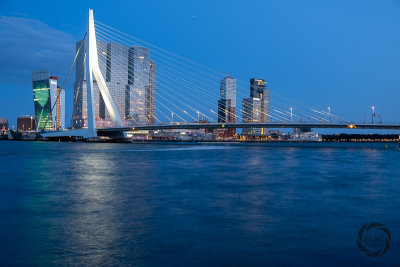 rotterdam-2019026.jpg