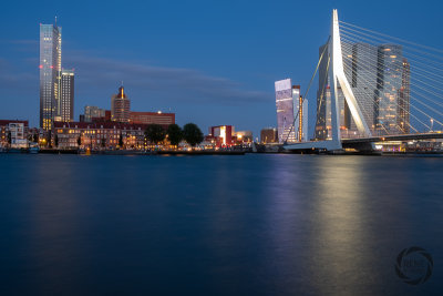 rotterdam-2019027.jpg