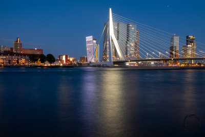 rotterdam-2019029.jpg