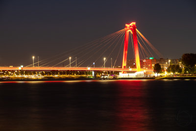 rotterdam-2019032.jpg