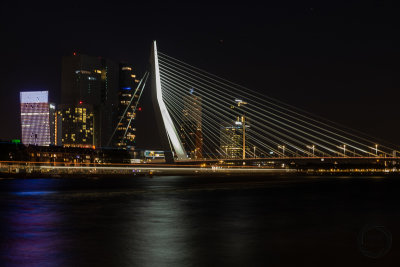 rotterdam-2019033.jpg